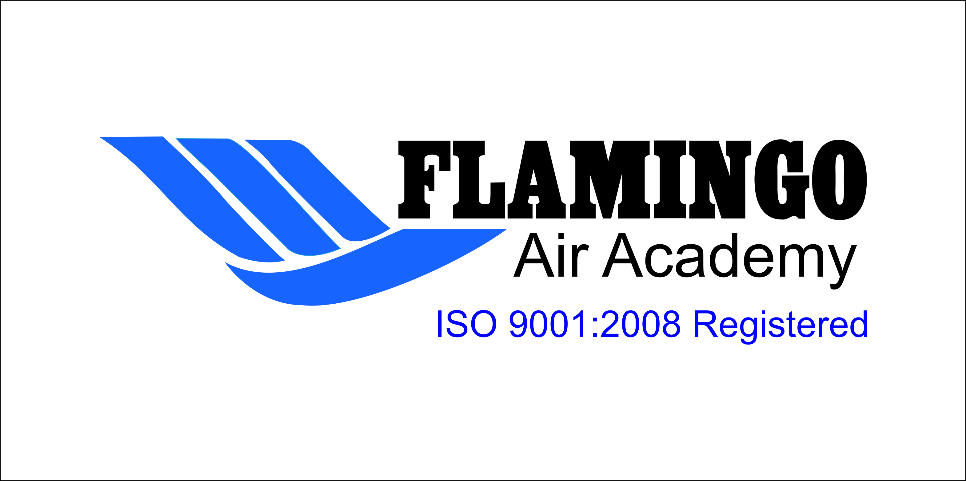 Flamingo Air Academy